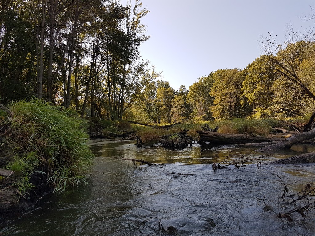 Minesing Wetlands | 363 Mill St, Angus, ON L0M 1T2, Canada | Phone: (705) 424-1479