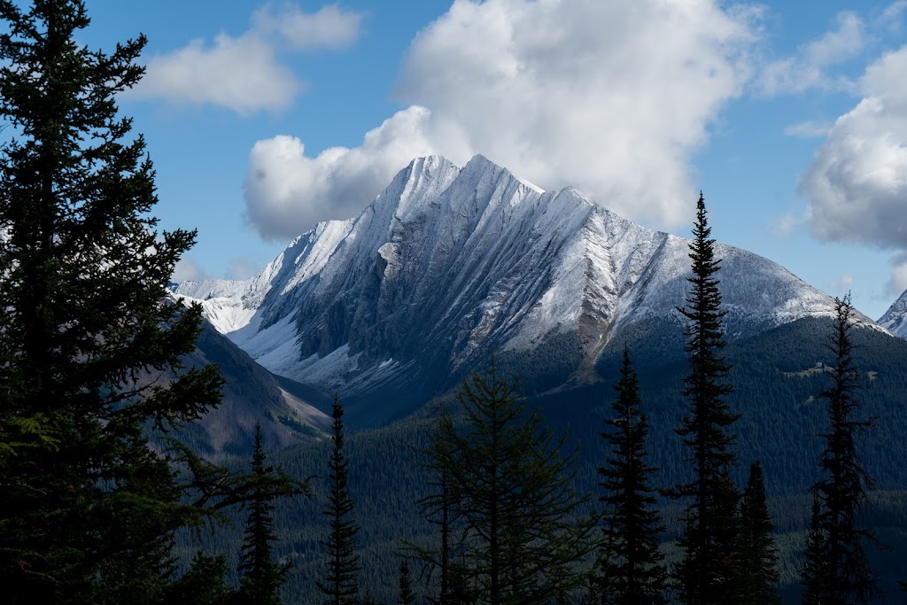 Tent Ridge Horseshoe Trail Head | Kananaskis, AB T0L 2C0, Canada | Phone: (403) 678-0760