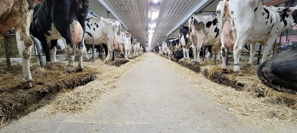 Ferme Ancestrale St-Pierre | 4104 4em rang ouest, Sainte-Hélène-de-Kamouraska, QC G0L 3J0, Canada | Phone: (518) 337-1278