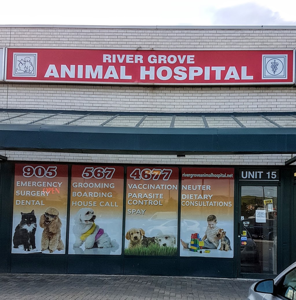 River Grove Animal Hospital | 1201 Britannia Rd W #15, Mississauga, ON L5V 1N2, Canada | Phone: (905) 567-4677