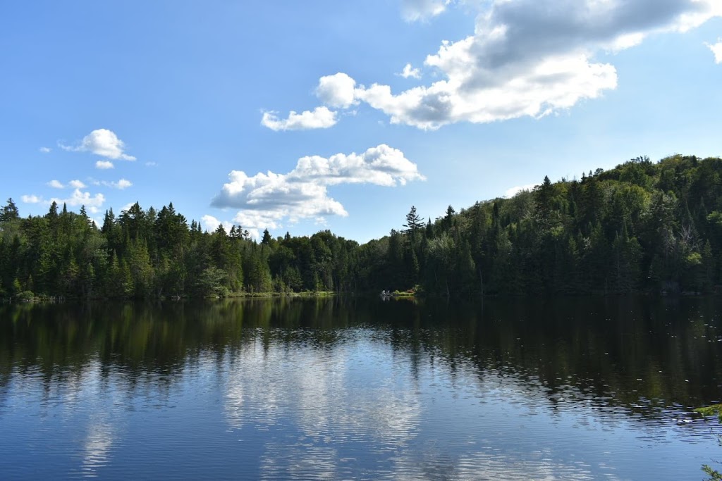 Le petit refuge des bois | 10-24 Chemin du Tremble, Lantier, QC J0T 1V0, Canada | Phone: (438) 404-8323