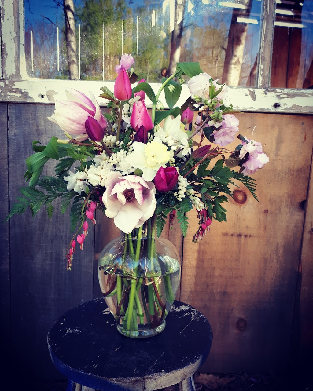 A Beautiful Wild Flower Farm | 7460 Aylesford Rd, Aylesford, NS B0P 1C0, Canada | Phone: (902) 670-8616