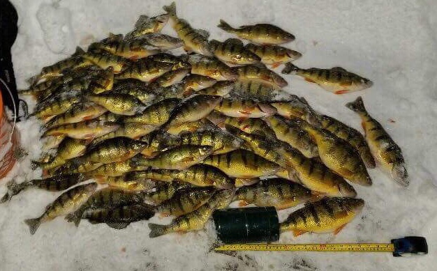 Fish On Ice Fishing Guides | 50 Lake Dr N, Keswick, ON L4P 1A5, Canada | Phone: (647) 818-1359