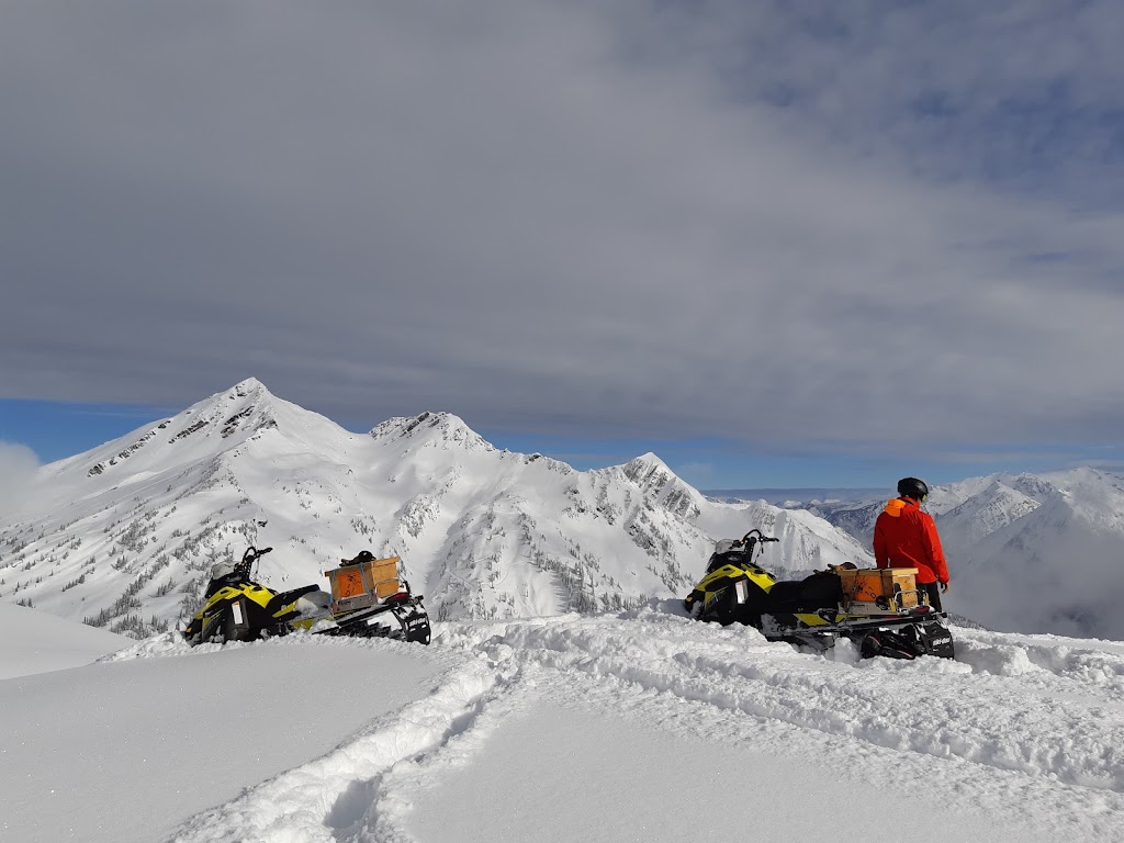 Mustang Powder | British Columbia V0E 2J0, Canada | Phone: (888) 884-4666