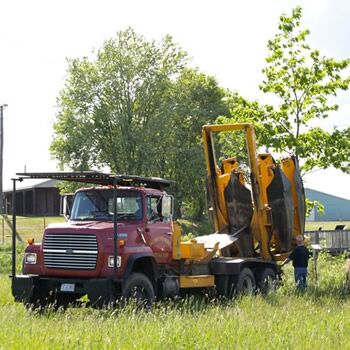 Eagle Ridge Tree Movers | 24534 Kennedy Rd, Sutton, ON L0E 1R0, Canada | Phone: (416) 991-6127