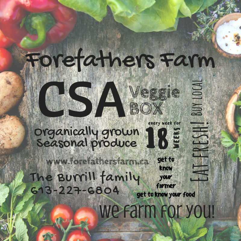 Forefathers Farm | 205 Buttermilk Hill Rd, Perth, ON K7H 3C3, Canada | Phone: (613) 227-6804