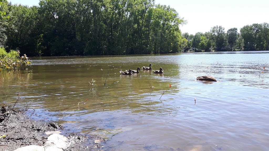 Berge Plage-des-Îles (Fabreville) | Berge Plage-des-Îles, 1015 Rue de Bordeaux, Laval, QC H7P 3Z6, Canada | Phone: (514) 647-8730