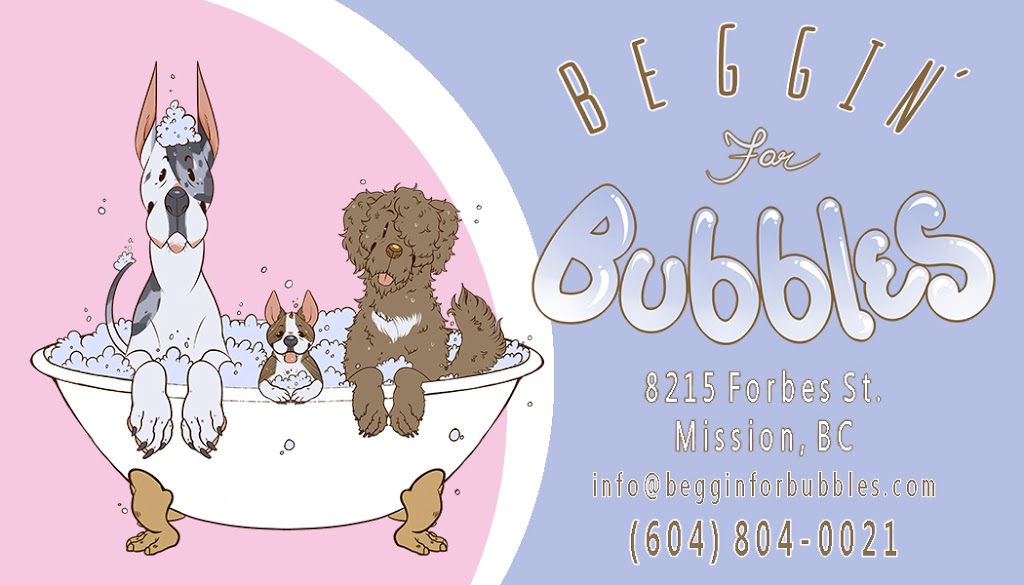 Beggin For Bubbles | 8215 Forbes St, Mission, BC V2V 6V2, Canada | Phone: (604) 804-0021