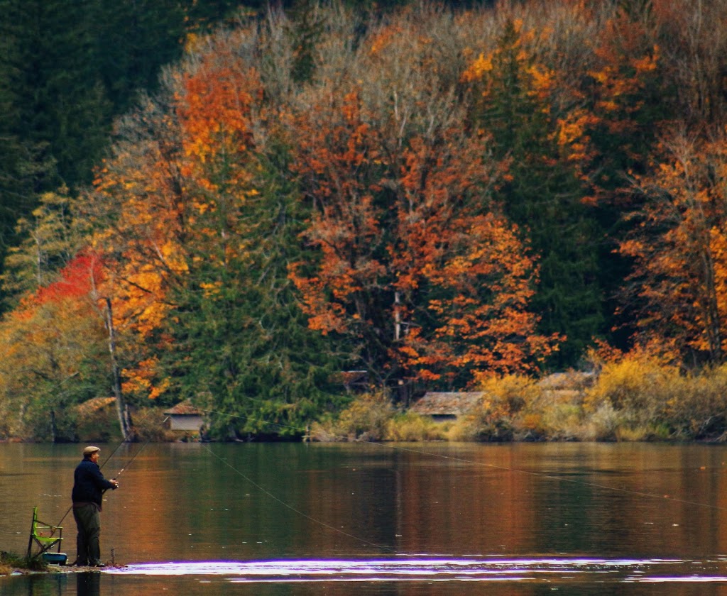 Public Launch | Silver Lake County Park, Maple Falls, WA 98266, USA | Phone: (360) 733-2900