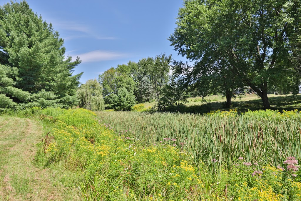 Forêt de la Seconde Vie | 835 Chemin de lAchigan E, Sainte-Sophie, QC J5J 2P9, Canada | Phone: (438) 500-6288