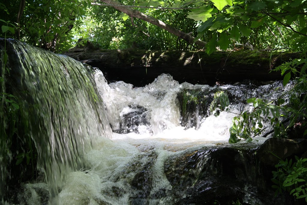 Crooked Lake Wilderness Lodge | 112 Fishog Trail, QEII Wildlands Provincial Park, Kawartha Lakes, ON K0M 2L0, Canada | Phone: (705) 928-1111