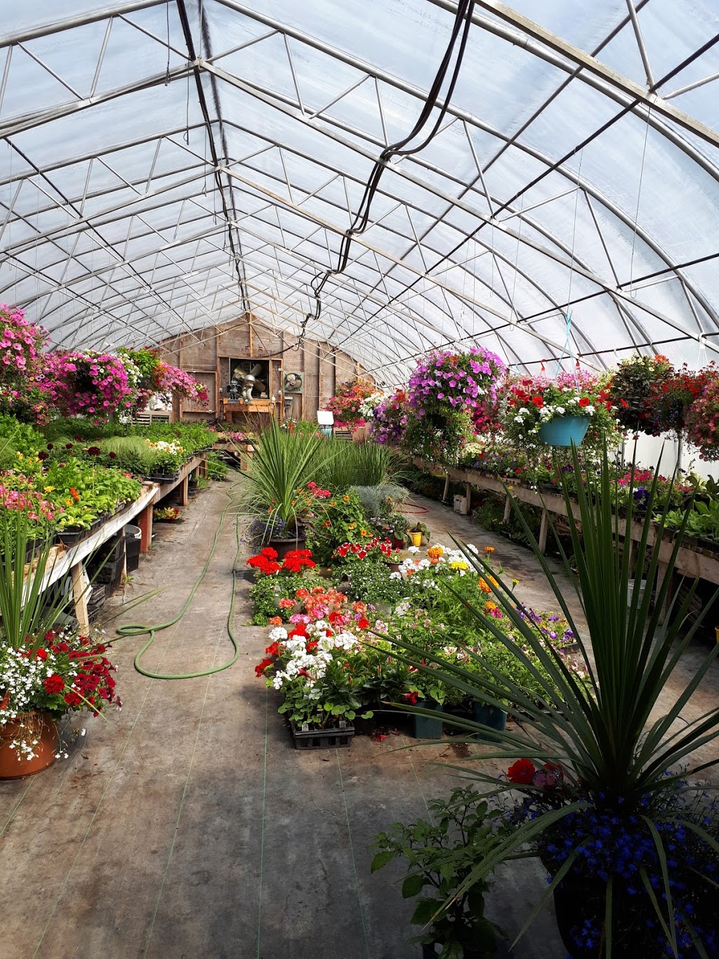 Granola Garden Ctr | 3304 Morin Dr, Gunn, AB T0E 1A0, Canada | Phone: (587) 859-1633