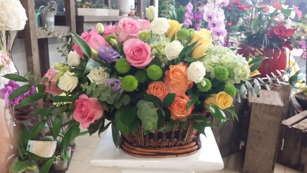 Tom’s Florist | 572 Eglinton Ave W, Toronto, ON M5N 1B7, Canada | Phone: (647) 352-9188