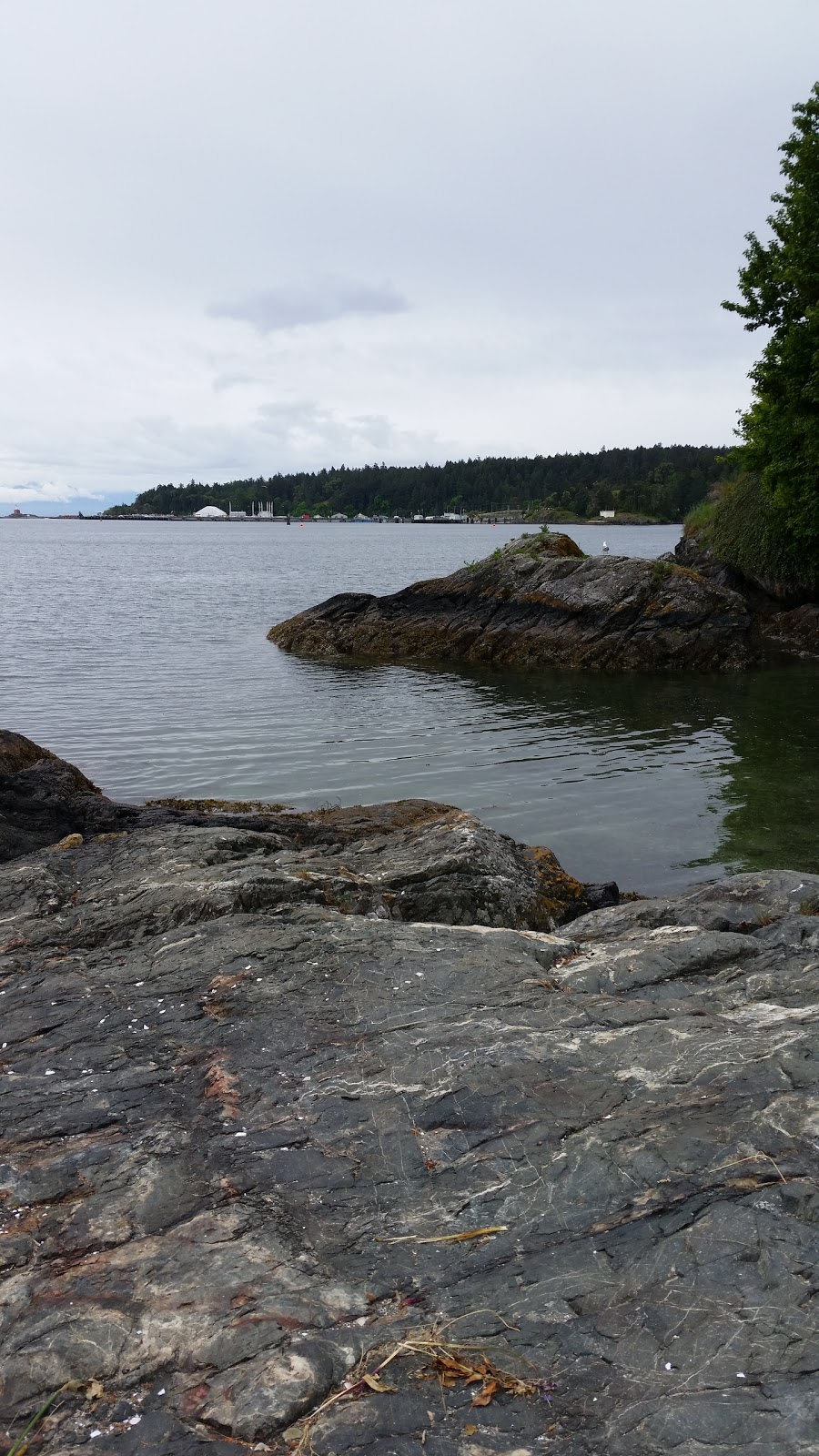 Stewart Beach | Strait of Juan de Fuca, View Royal, BC V9B 1A2, Canada