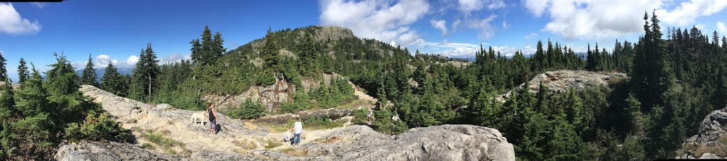 Mount Seymour Trail | Mount Seymour Trail, North Vancouver, BC V7G 1L3, Canada