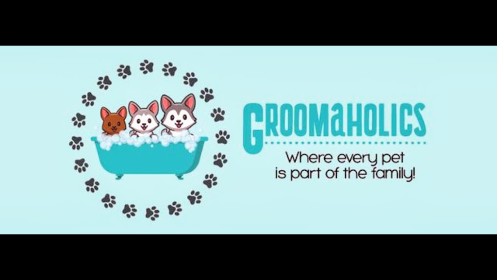 Groomaholics | 6358 Rothbourne Rd, Carp, ON K0A 1L0, Canada | Phone: (613) 296-2515