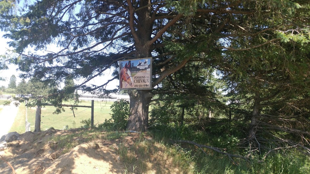 Brindy Ranch | 1682 Bd Valcartier, Saint-Gabriel-de-Valcartier, QC G0A 4S0, Canada | Phone: (418) 654-8194