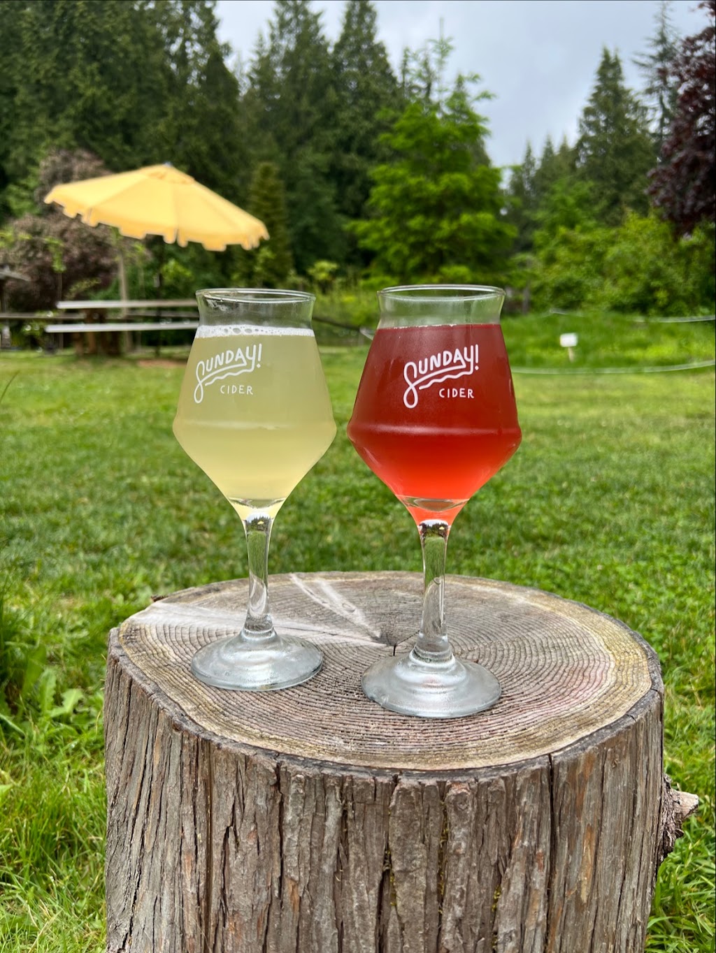 Sunday Cider | 1632 Sunshine Coast Hwy, Gibsons, BC V0N 1V2, Canada | Phone: (604) 840-2385