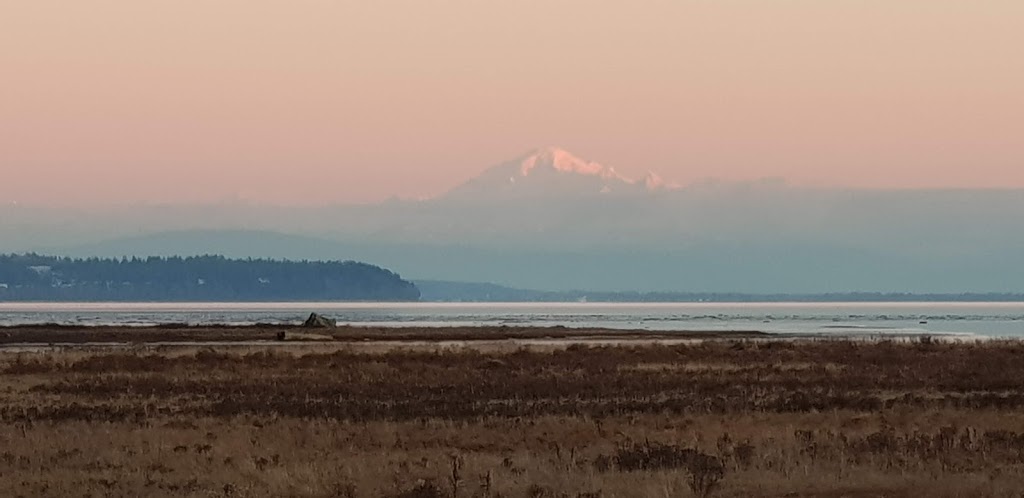 Boundary Bay Dyke | 2 British Columbia 7, Vancouver, BC V5Y 1P1, Canada