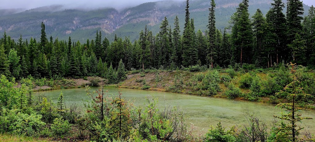 Silverhorn Creek Campground | Banff National Park Of Canada, AB-93, Lake Louise, AB T0L 1E0, Canada | Phone: (780) 932-6868