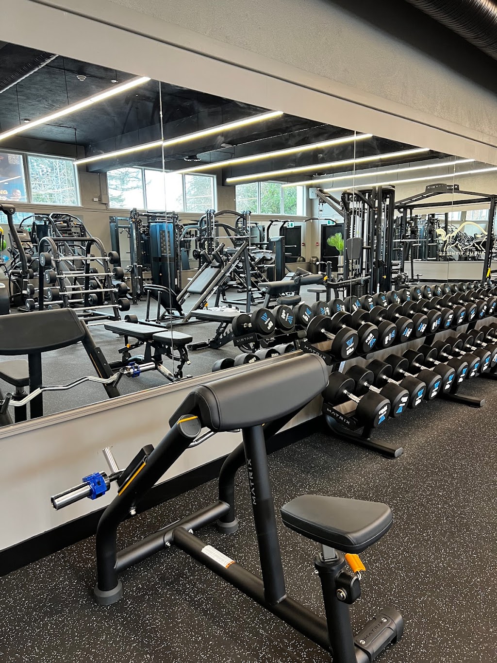 Taurus Fitness | 1763 Bellevue Ave, West Vancouver, BC V7V 1A8, Canada | Phone: (604) 281-2881