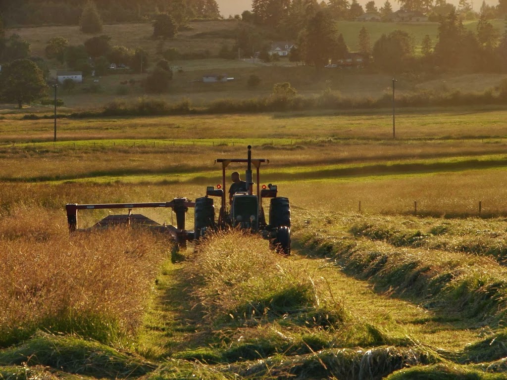 Maple Bay Farm | 1100 Herd Rd, Duncan, BC V9L 5W9, Canada | Phone: (250) 710-6025