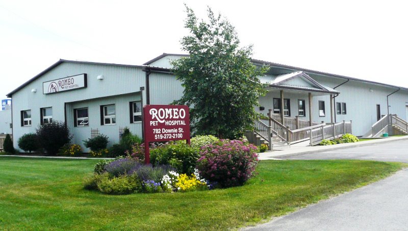 Romeo Pet Hospital | 782 Downie St, Stratford, ON N5A 1Y7, Canada | Phone: (519) 272-2100