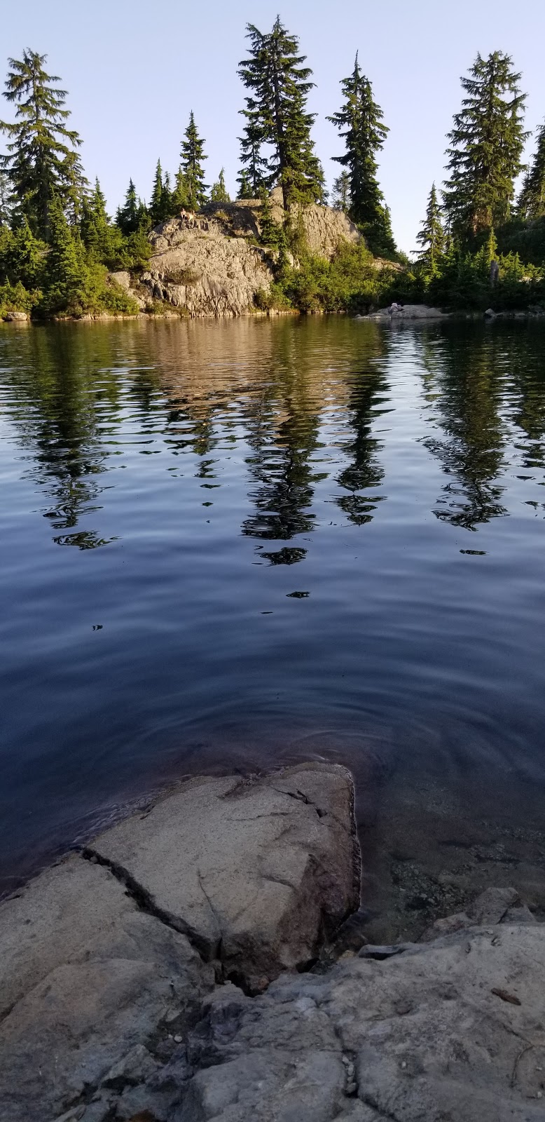 Mystery Lake Trail | Seymour mountain, Mystery Lake hike, North Vancouver, BC V7G 1L3, Canada