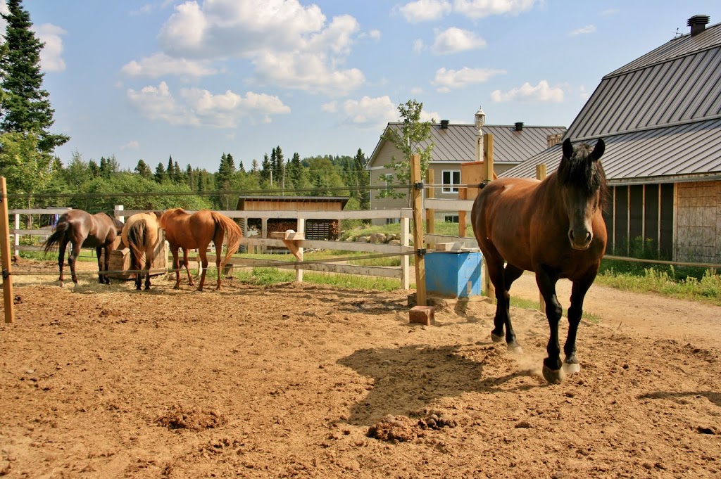 Andre Ladouceur Accordeur | 6250 Loieme Rang, Sainte-Adèle, QC J8B 2P7, Canada | Phone: (819) 321-1329