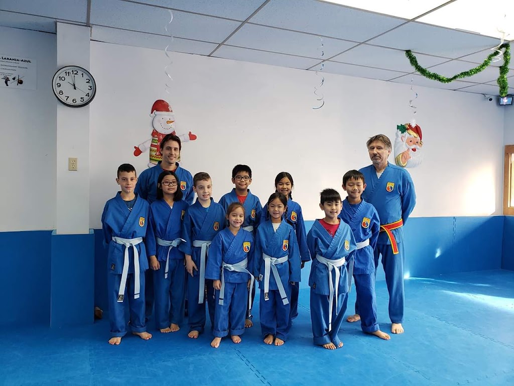 Vovinam Quebec À Laval | 103 A Bd de la Concorde O, Laval, QC H7N 1H8, Canada | Phone: (514) 501-2610