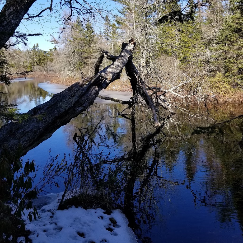 Crowbar Lake Trail | 1800 Myra Rd, Porters Lake, NS B3E 1H2, Canada