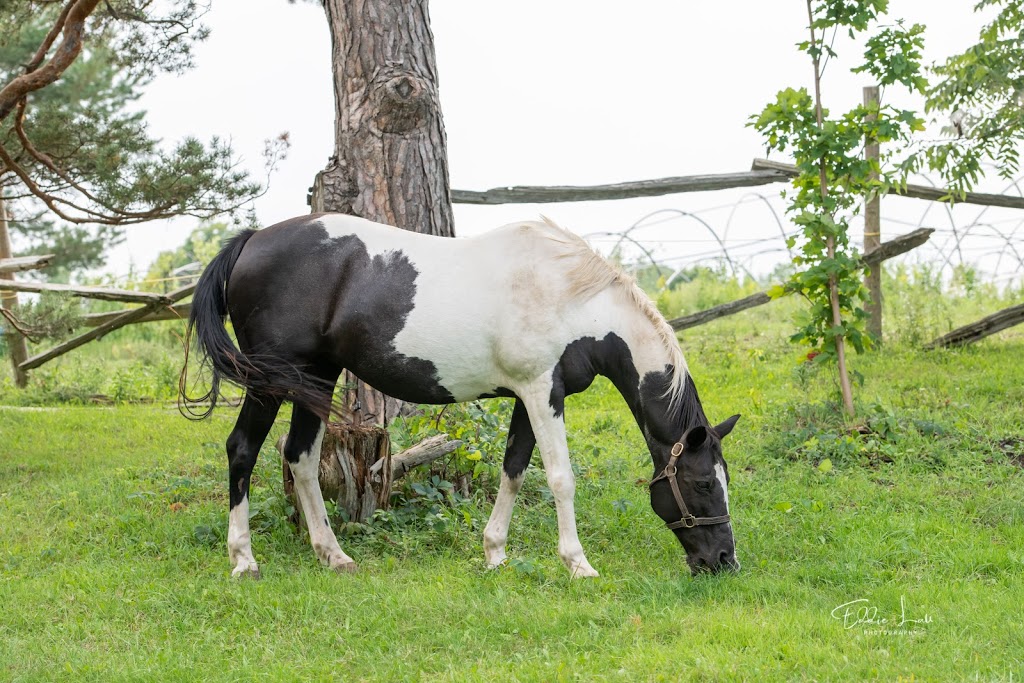 Sunrise Cedar Valley Farms | 16688 Kennedy Rd, Newmarket, ON L3Y 4W1, Canada | Phone: (416) 219-7993