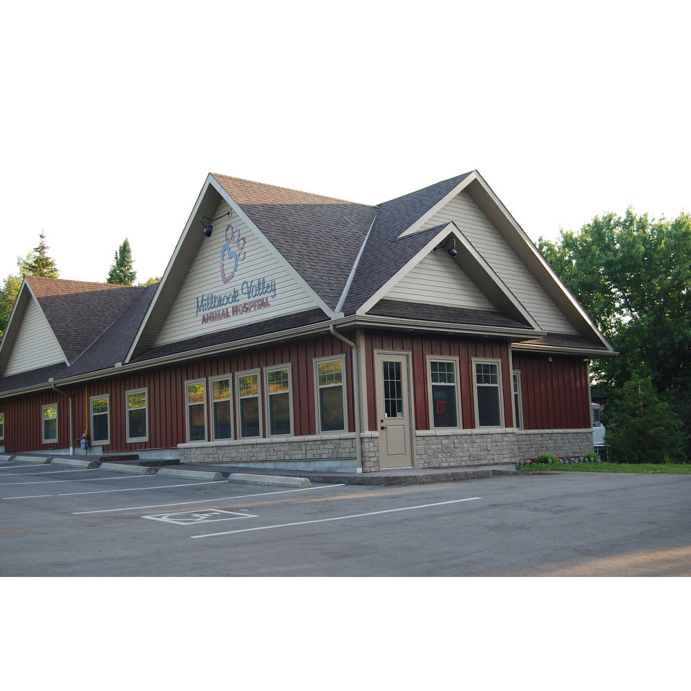 Millbrook Valley Animal Hospital | 3 Queen St, Millbrook, ON L0A 1G0, Canada | Phone: (705) 932-6824