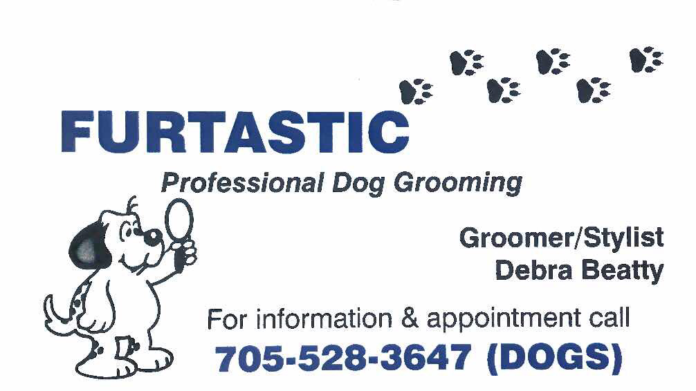Furtastic Professional Dog Grooming | 7190 ON-93, Tiny, ON L0K 2E1, Canada | Phone: (705) 528-3647