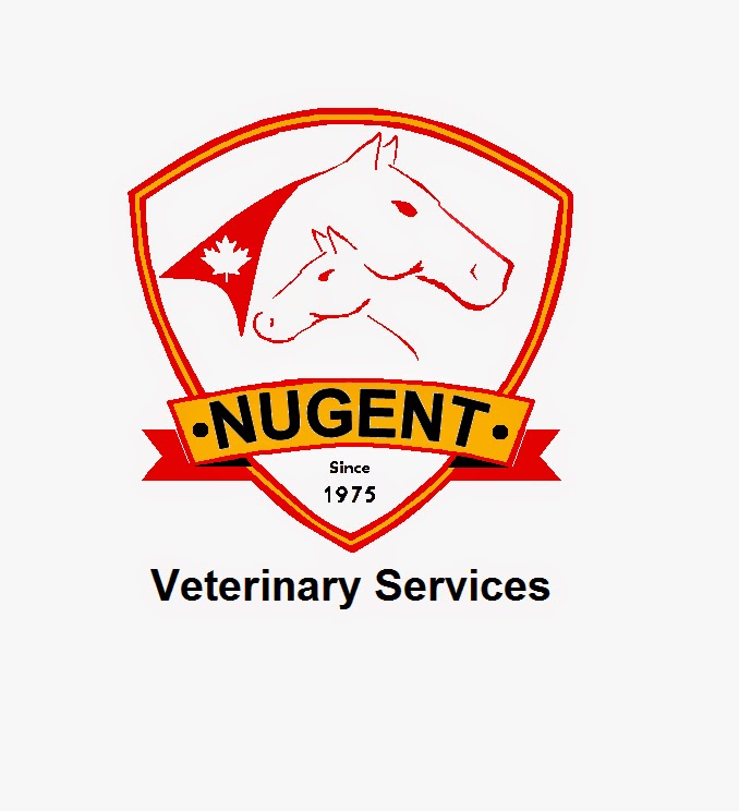 Nugent Veterinary Services | 555 Forks Rd, Welland, ON L3B 5K9, Canada | Phone: (905) 735-4865