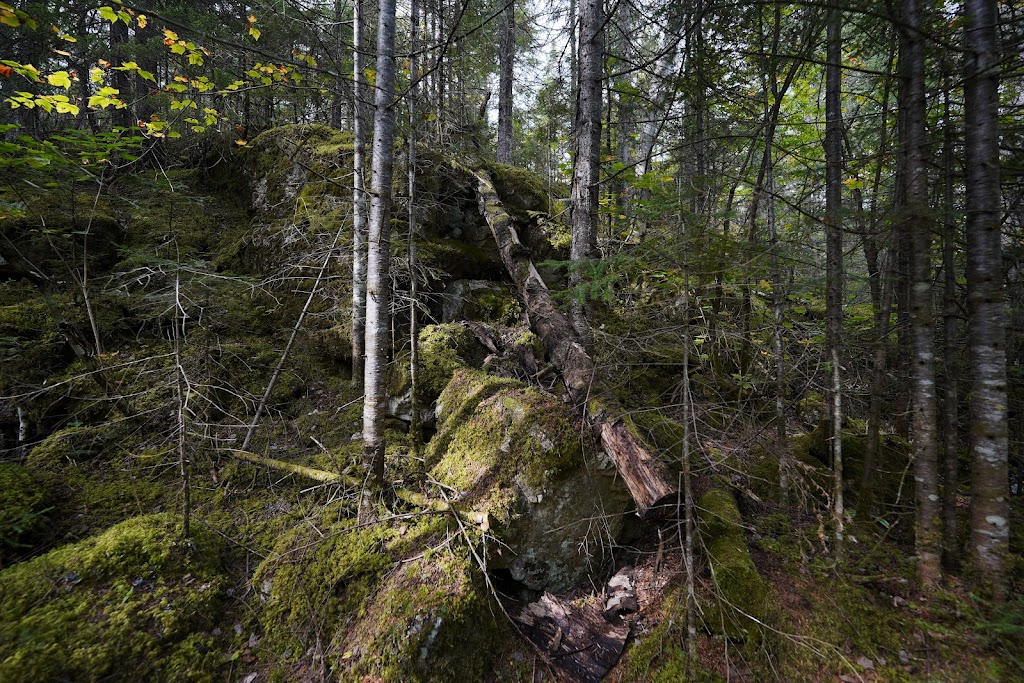 Parc le Trou de la Fée | Chemin trou de la fée, 7e avenue, Desbiens, QC G0W 1N0, Canada | Phone: (418) 346-1242