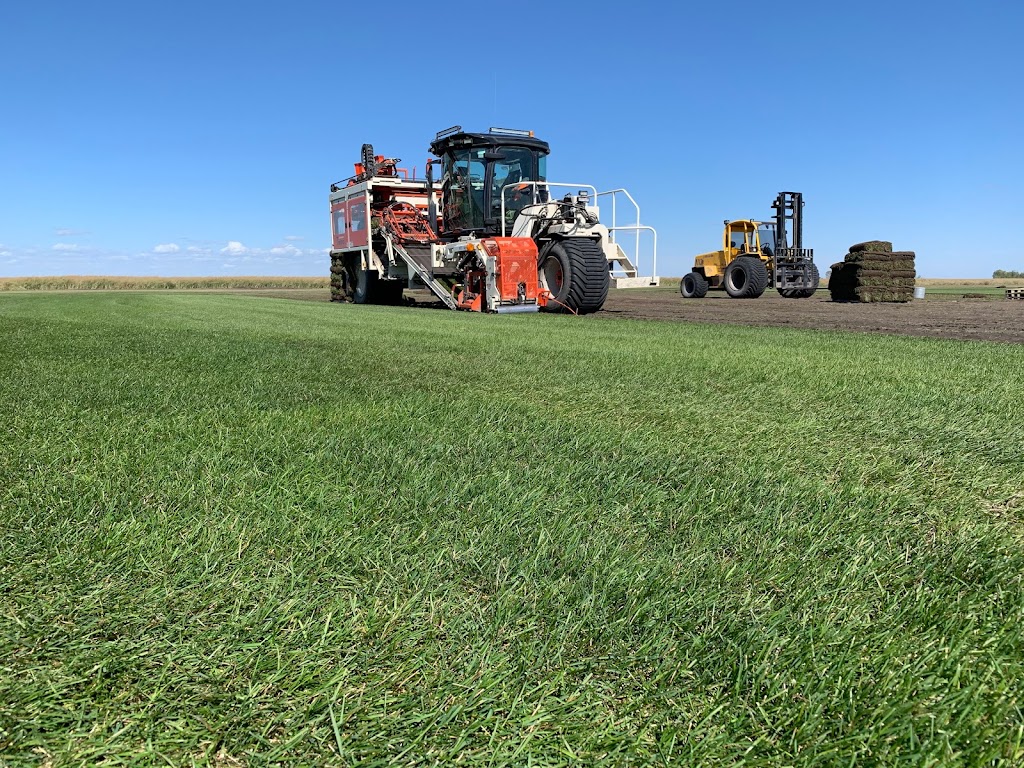 Lach Sod Farms | #84036 Rd 13E (corner of Road 84N & Road 13E), Balmoral, MB R0C 0H0, Canada | Phone: (855) 843-4222