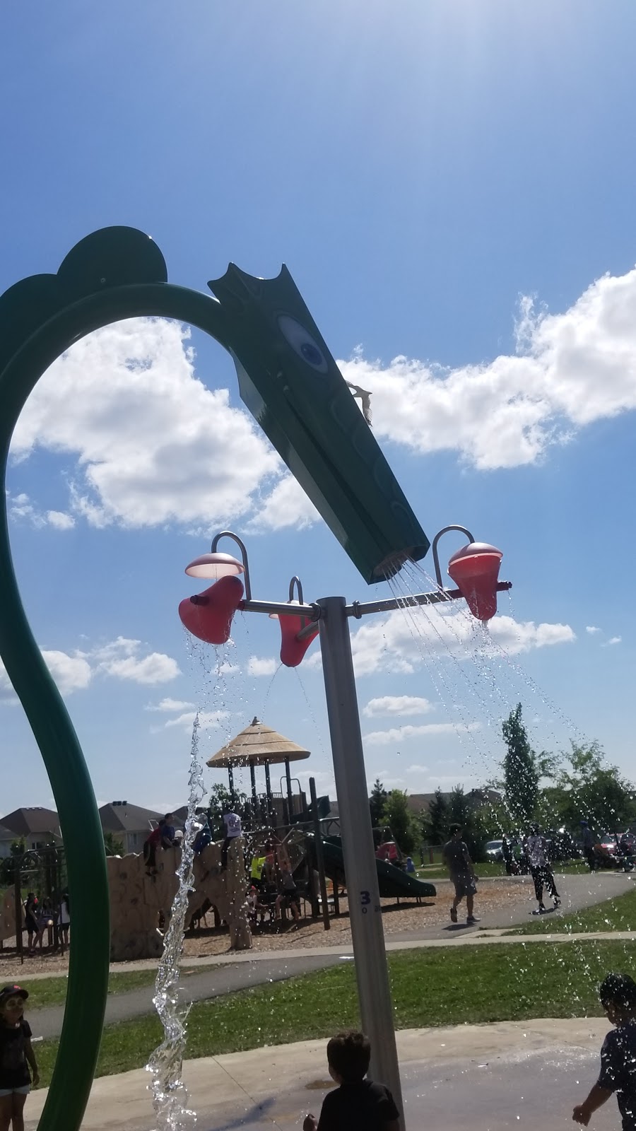 Water Dragon Park | 424 Chapman Mills Dr, Nepean, ON K2J 0H5, Canada