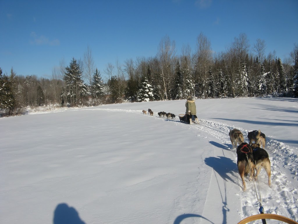 Aux Solstices-Traîneau à chiens | 1000 Chemin Kenauk, Montebello, QC J0V 1L0, Canada | Phone: (819) 426-2482