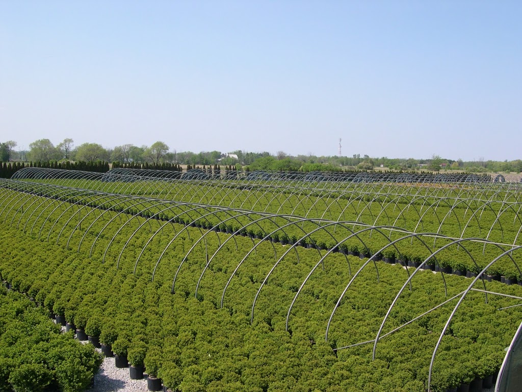 Putzer Nursery | 7314 Sixth Line, Hornby, ON L0P 1E0, Canada | Phone: (905) 878-7226