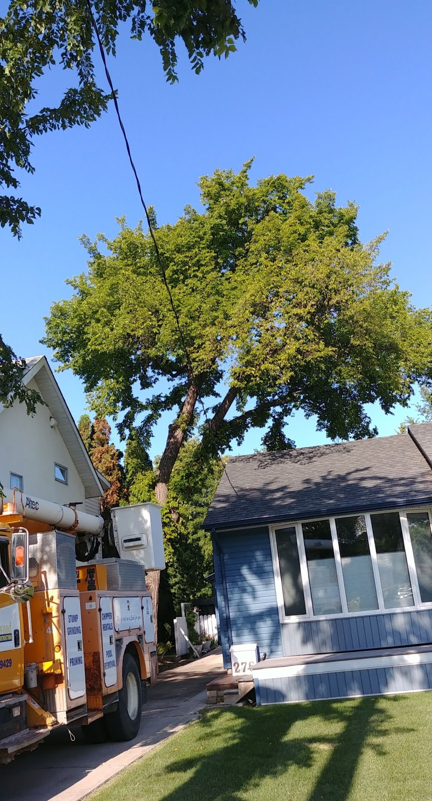 Charleswood Tree Service | 11 sabrina way, Headingley, MB R3S 1C5, Canada | Phone: (204) 781-9429