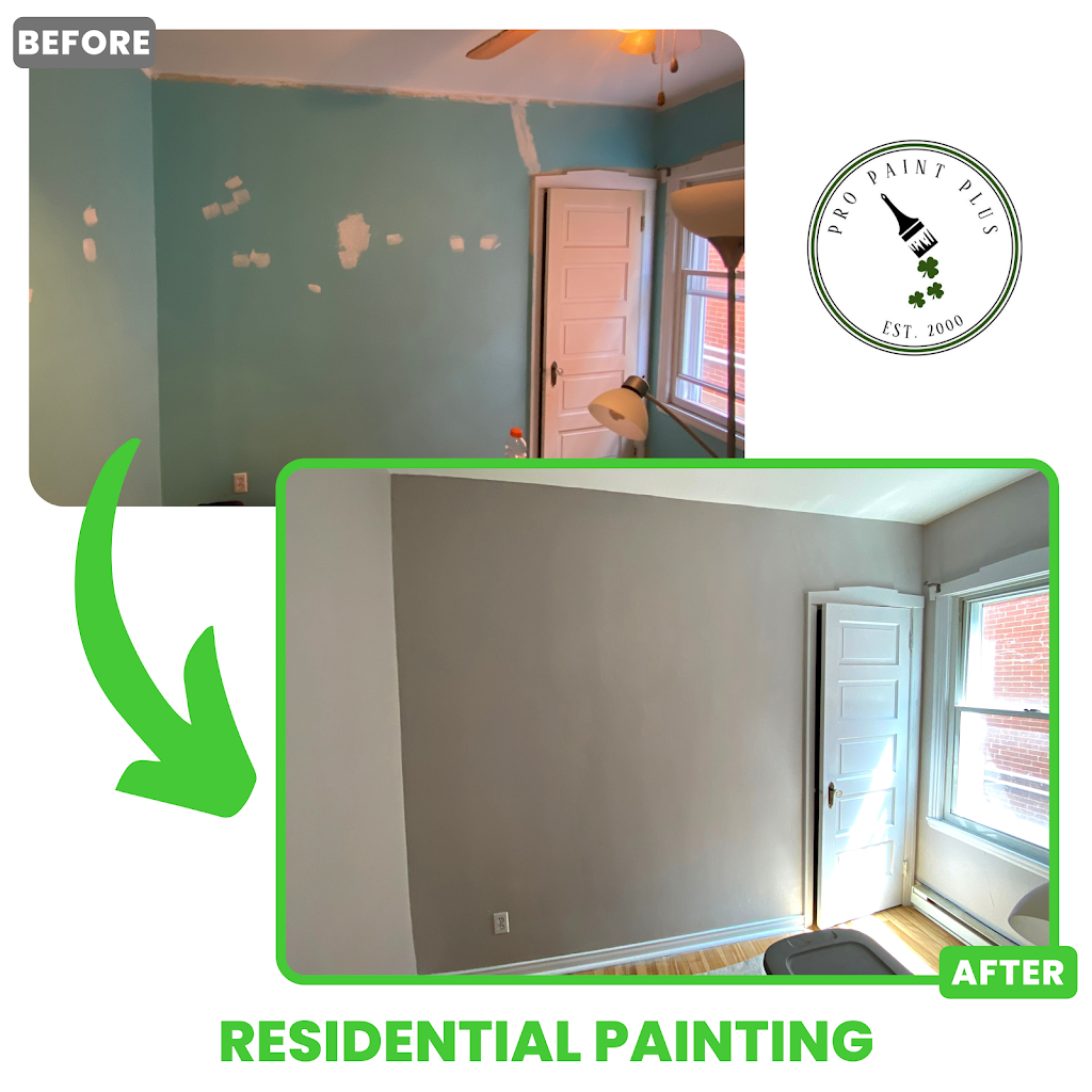 Pro Paint Plus | 8101 Elmslie St Suite 100, Lasalle, QC H8N 2W6, Canada | Phone: (514) 662-7079