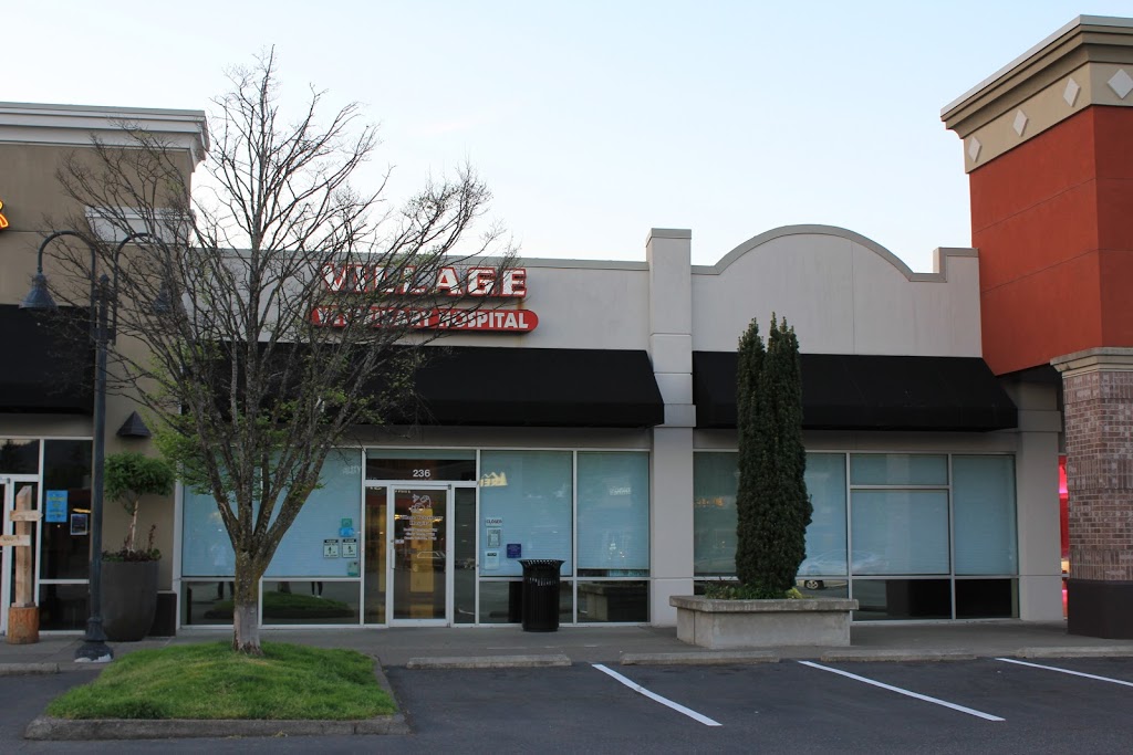 Village Veterinary Hospital | 236 36th St, Bellingham, WA 98225, USA | Phone: (360) 647-1980