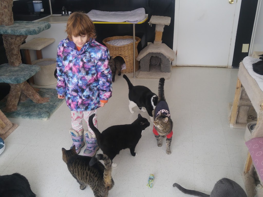 Arnprior & District Humane Society | 490 Didak Dr, Arnprior, ON K7S 0C3, Canada | Phone: (613) 623-0916