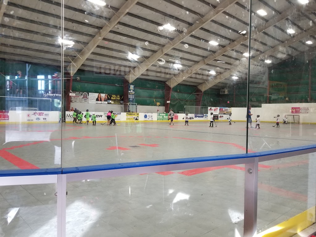 Niagara Ball Hockey Club | 16 Melbourne Ave, St. Catharines, ON L2P 3J8, Canada | Phone: (905) 646-0480