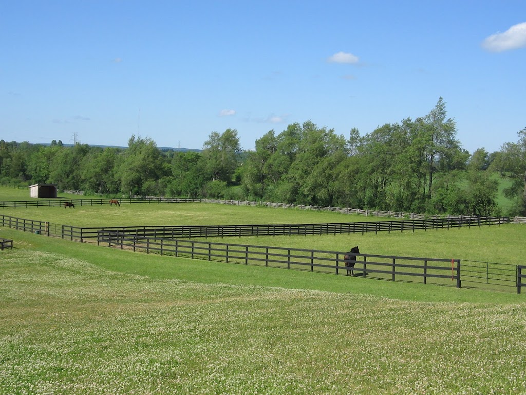 Hockley Hills School of Horsemanship | 246063, County Road 16, Orangeville, ON L9W 2Z1, Canada | Phone: (519) 942-6688