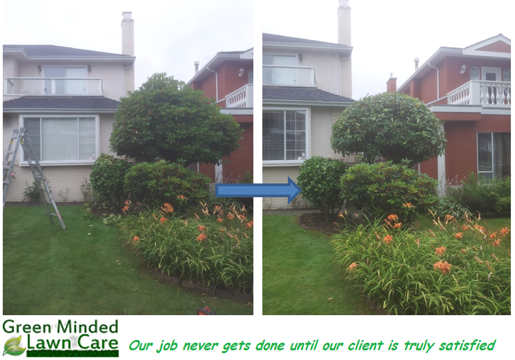 Green Minded Lawn Care | 4237 Marguerite St, Vancouver, BC V6J 4G2, Canada | Phone: (778) 388-2986
