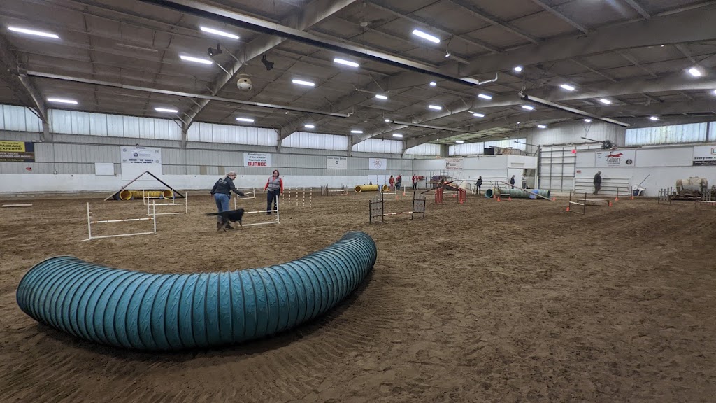 Paw Z Tracks Dog Agility Training | 5151 101 St NW, Calgary, AB T3L 1S4, Canada | Phone: (403) 283-1758