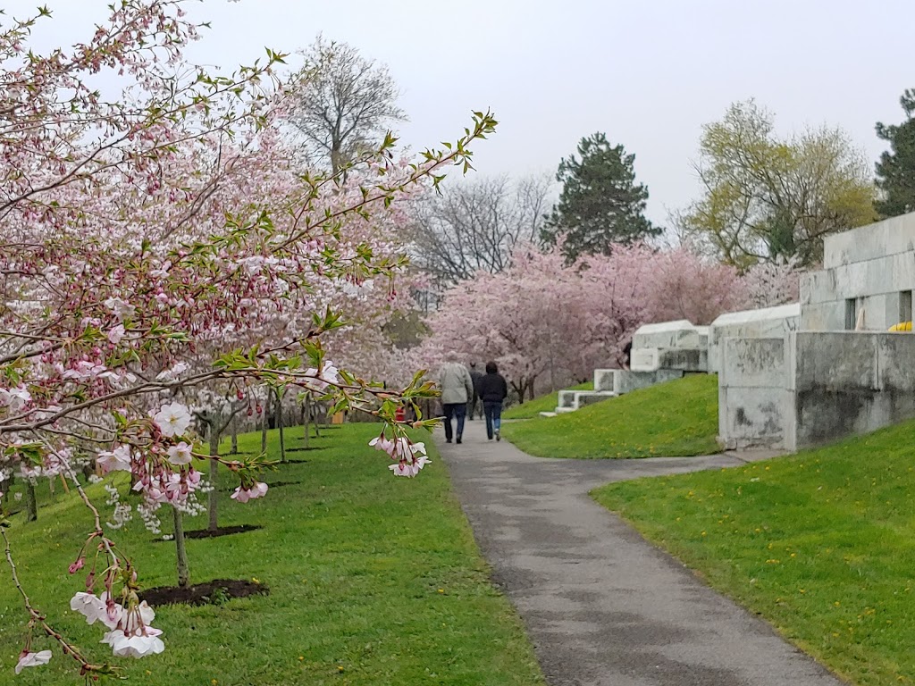 Japanese Garden | 1 Museum Ct, Buffalo, NY 14216, USA | Phone: (716) 873-9644