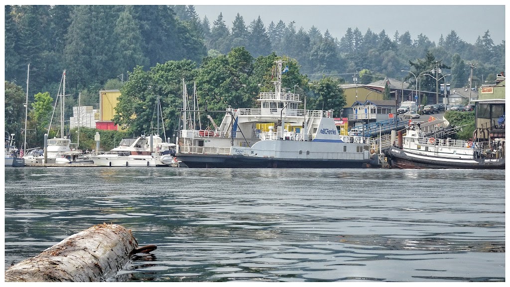 Chemainus Municipal Wharf | Oak St, Chemainus, BC V9G 1M9, Canada | Phone: (250) 246-4655